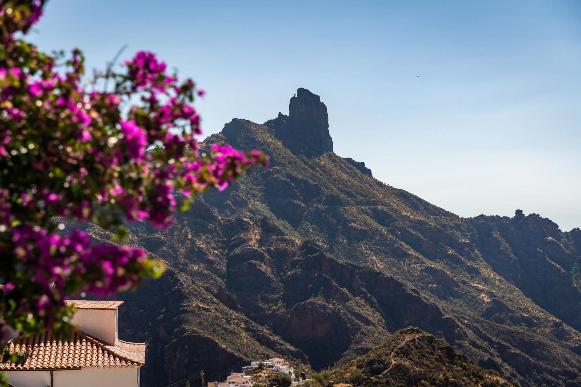 Macaronesia Lpa Suites Las Palmas de Gran Canaria Dış mekan fotoğraf